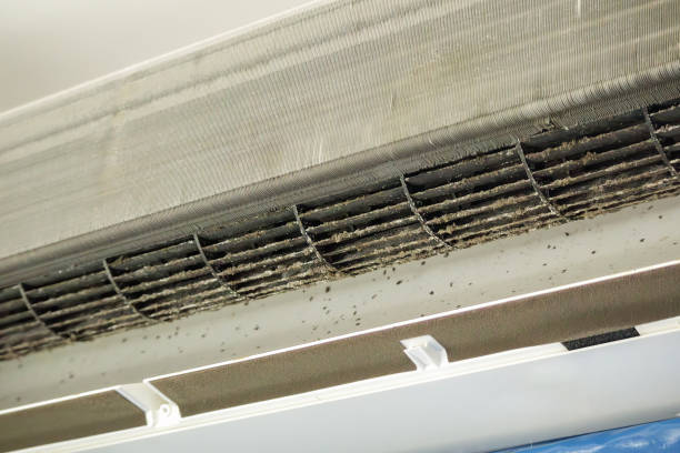 Best Air Duct Cleaning Near Me  in White Pigeon, MI